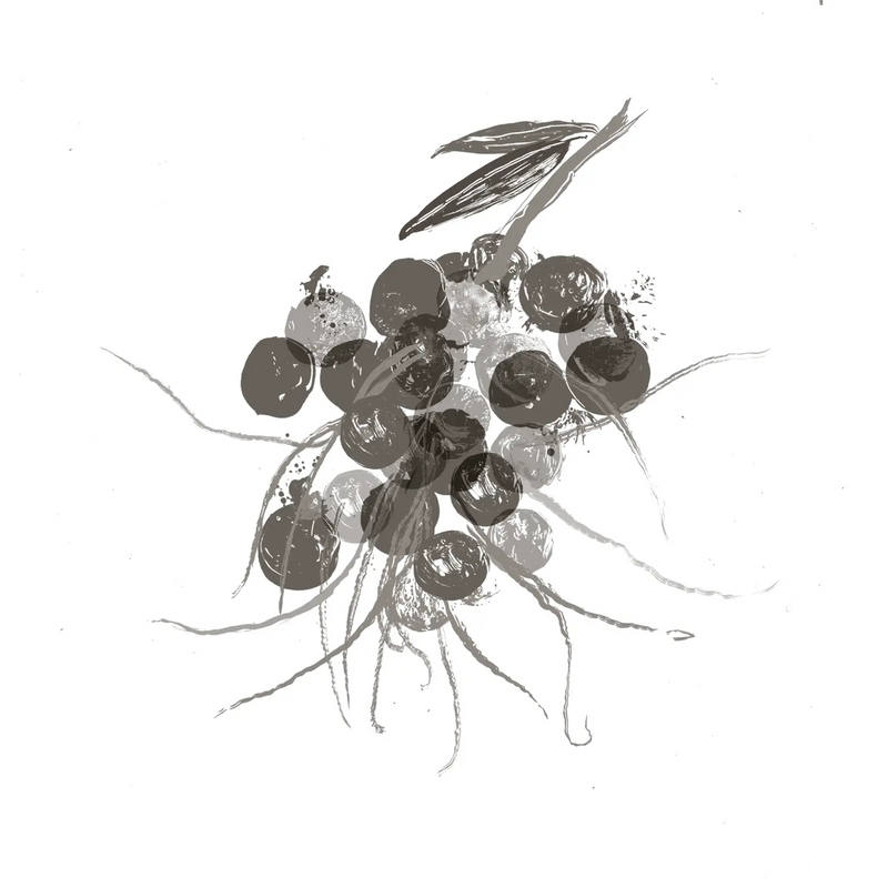 Euterpe Oleracea Fruit Extract