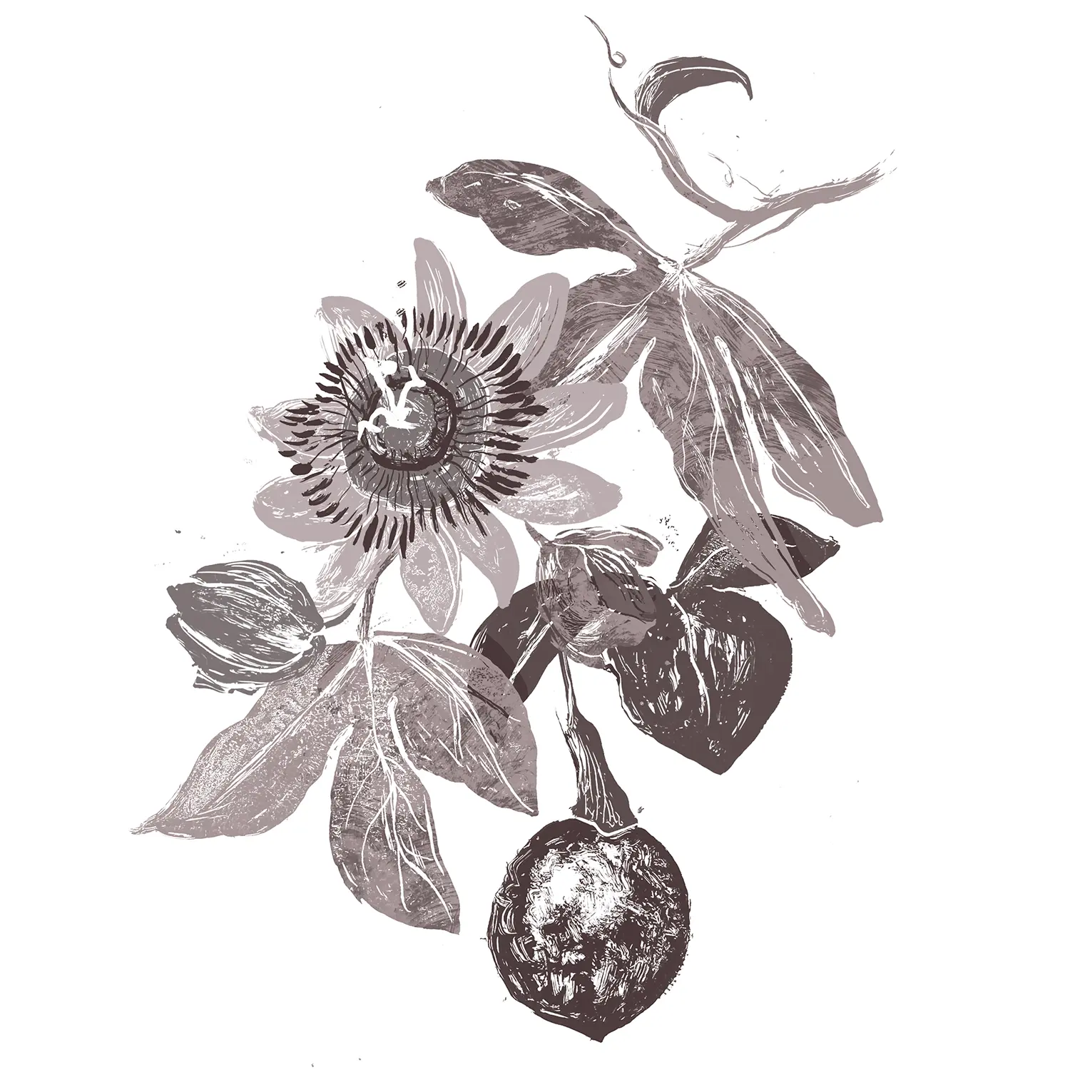 Passion Fruit Oil