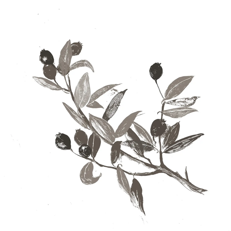 Hydrolyzed Myrtus Communis Leaf Extract