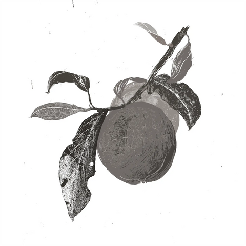 Prunus Persica (Peach) Leaf Extract