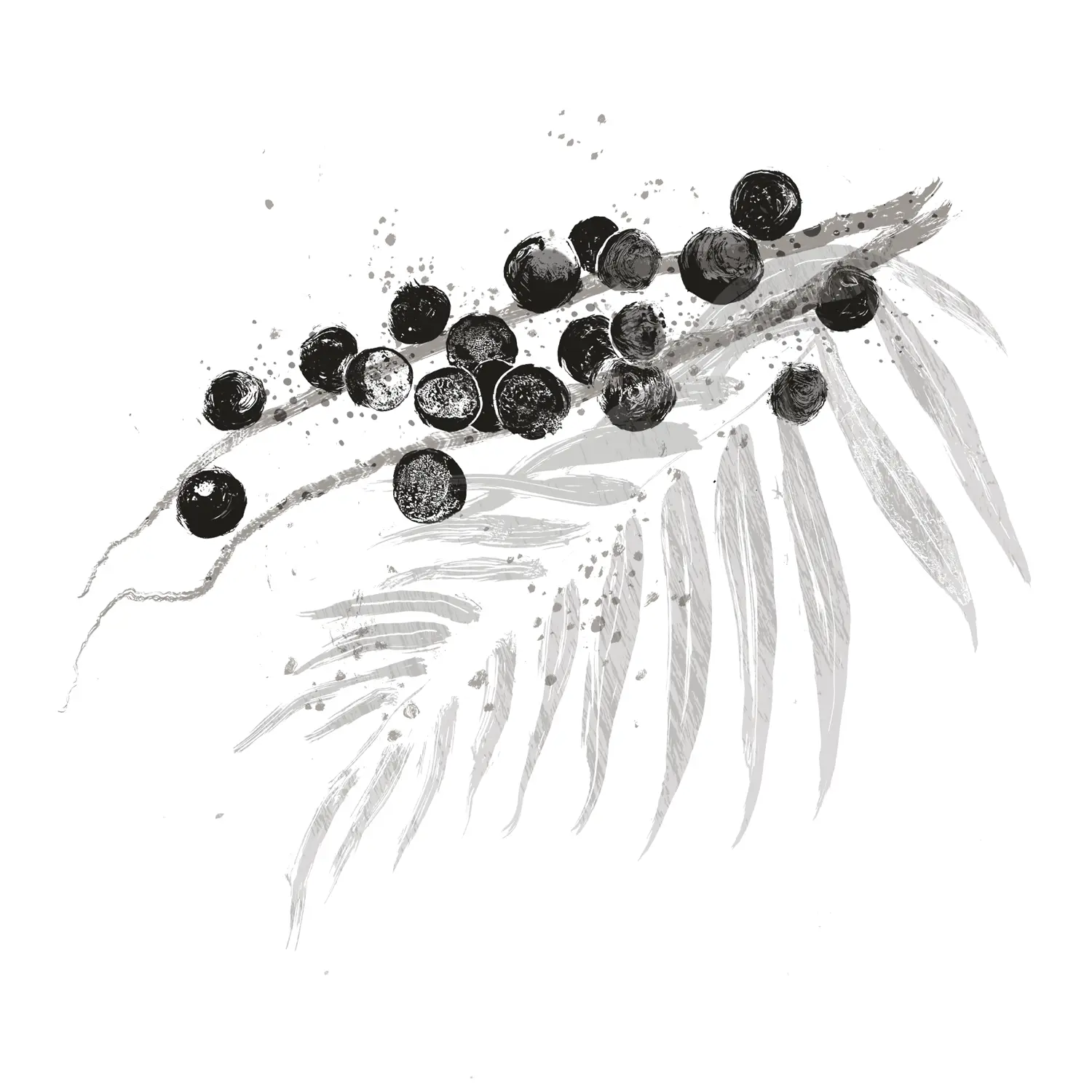 Açaí