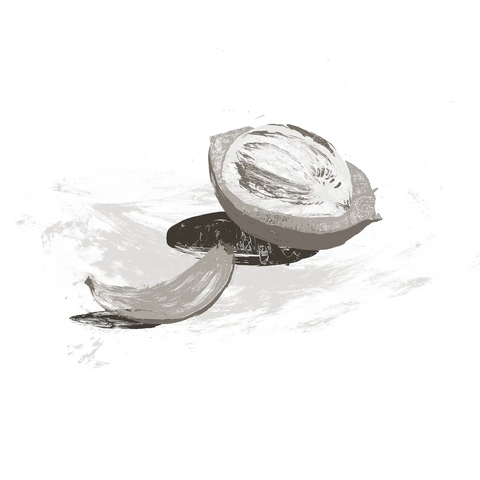 Astrocaryum vulgare kernel Oil