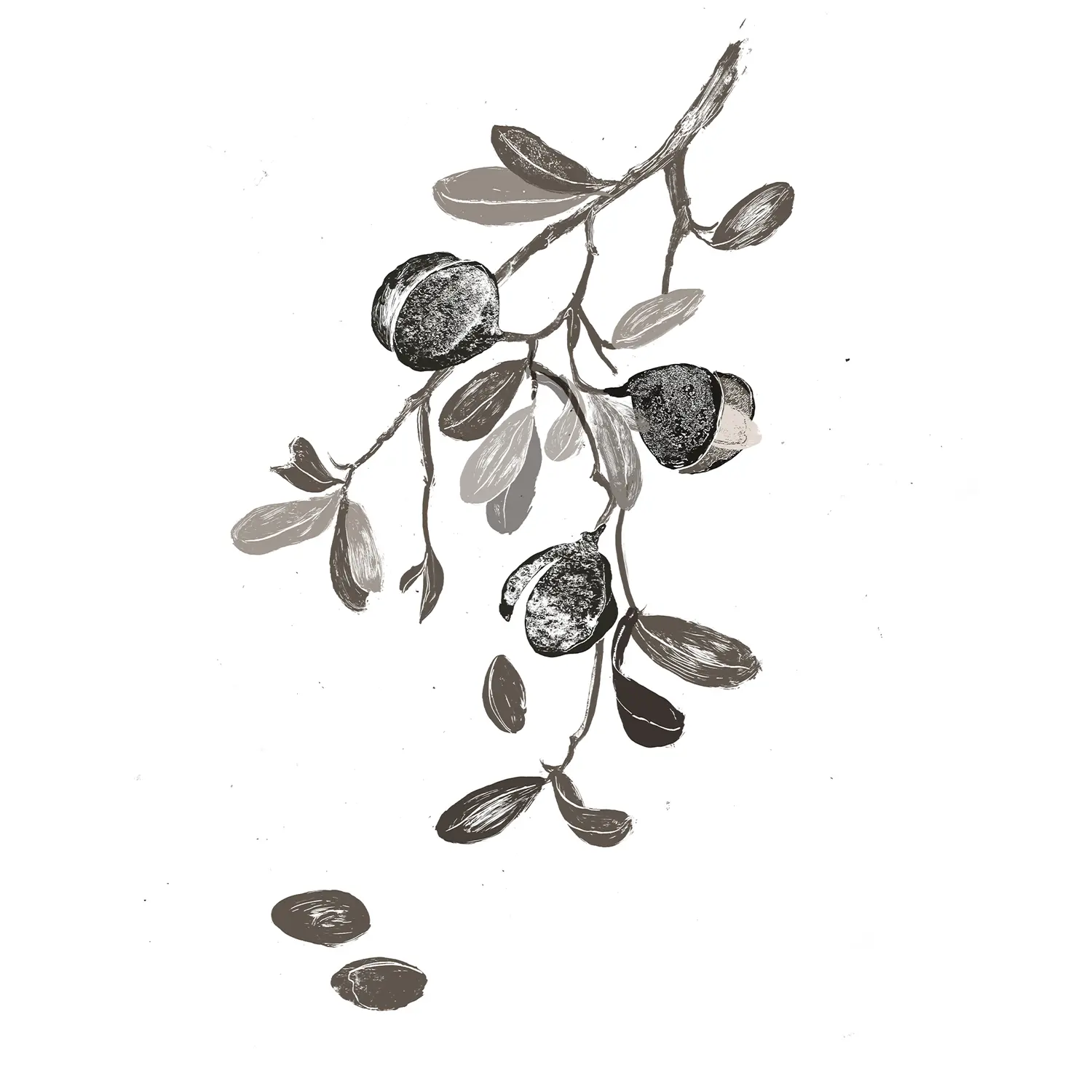 Copaiba