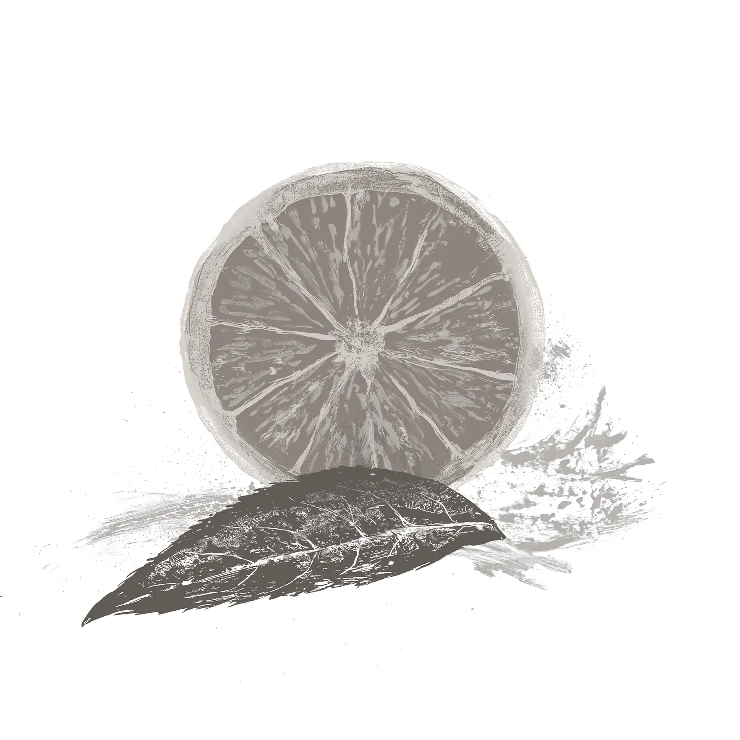 Tangerine Extract