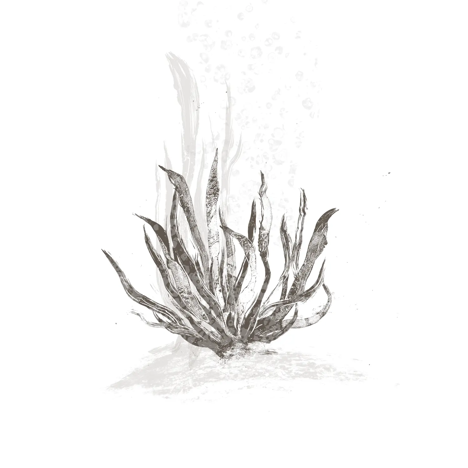 Acqua minerale islandese