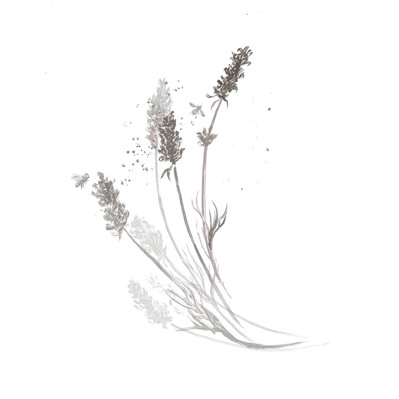 Lavandula Angustifolia (Lavender) Flower Extract