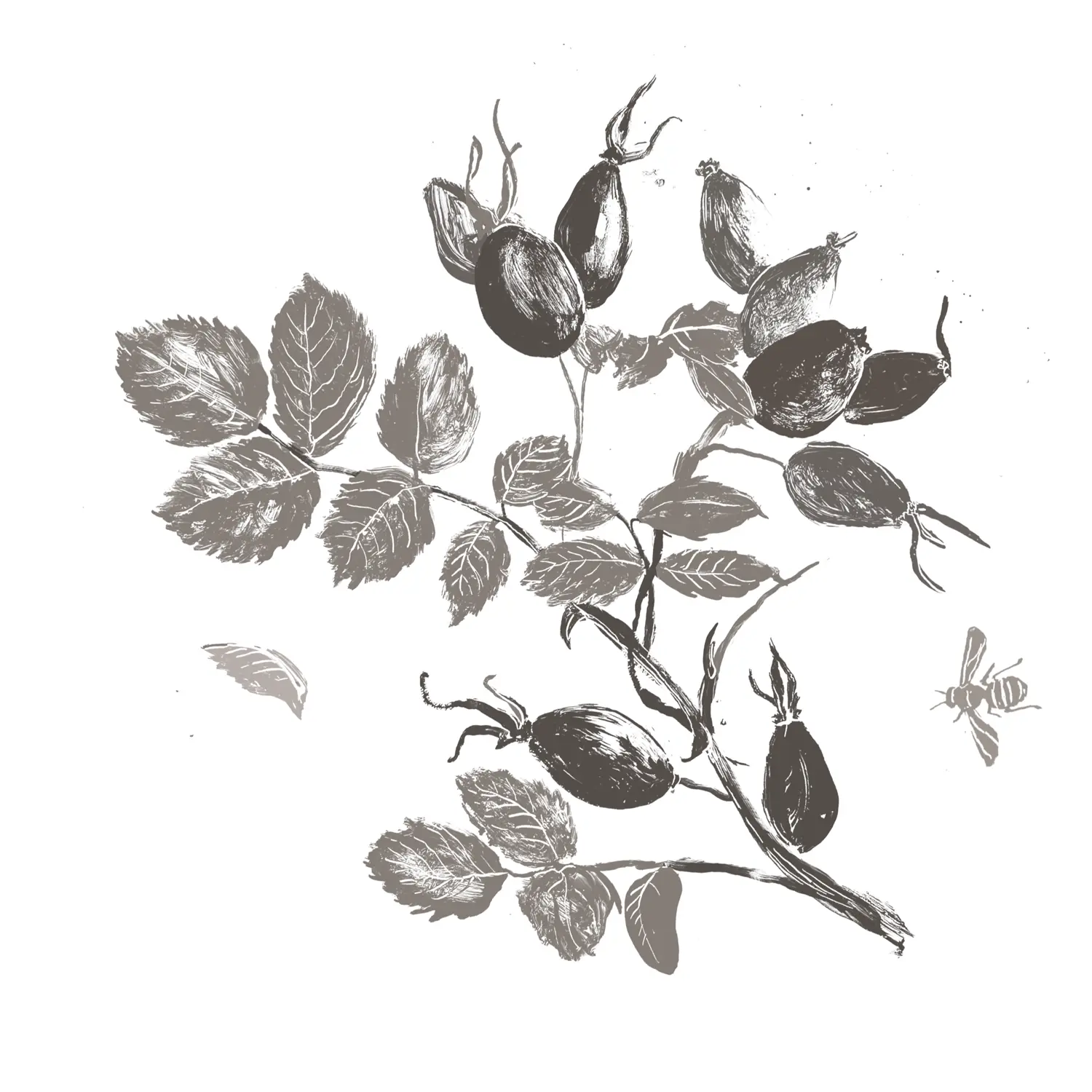 Rosehip Oil