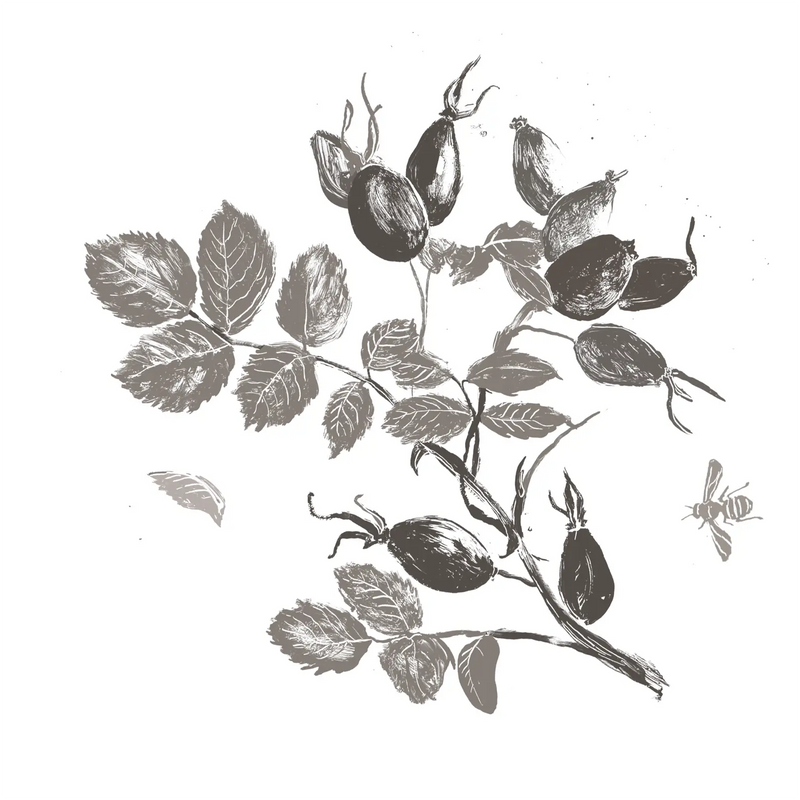 Rosa Canina Fruit Oil