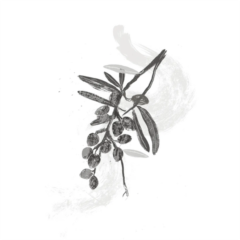 Hippophae Rhamnoides Fruit Extract
