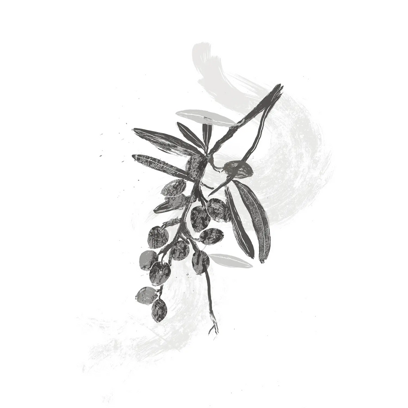 Hippophae Rhamnoides Fruit Extract