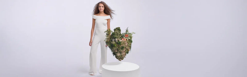 Amazon Rainforest - Brazil