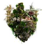 Amazon Rainforest (Brazil)