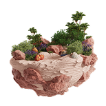 Argan Forest (Morocco)