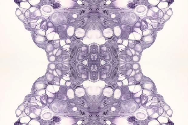 Our ingredients and patented formulas engineered to future-proof your skin.