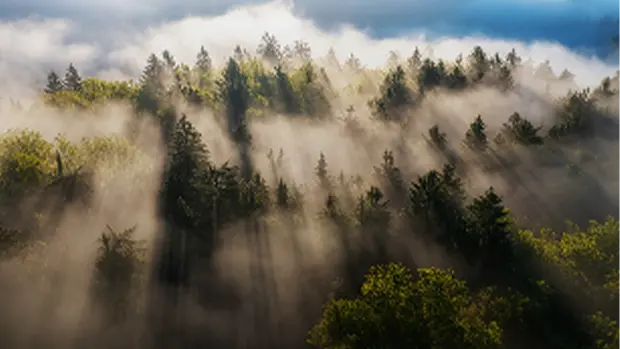 Our breakthrough: the nine Aurora beauty zones.