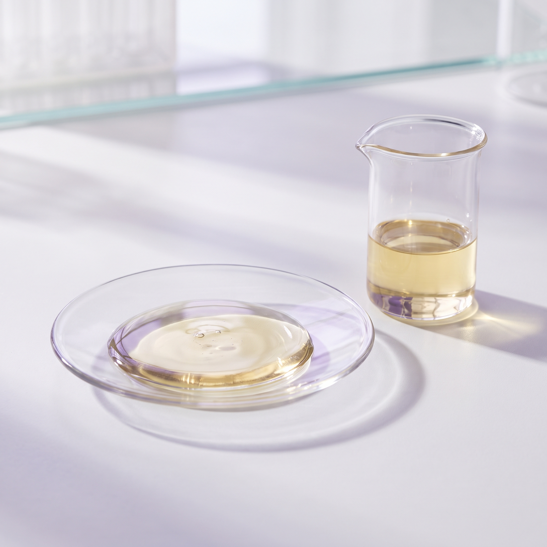 Esters de jojoba hydrolysés